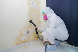 Best Mold Remediation for Healthcare Facilities  in Greenville, AL